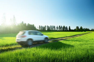 Obraz na płótnie Canvas pole wiosną i blured samochód na drodze gruntowej