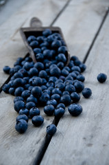 Scoop of Blueberries