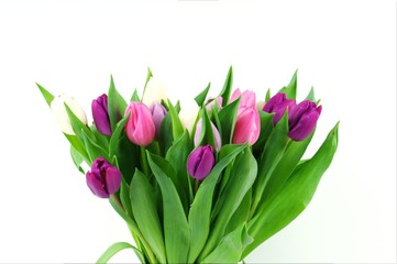 A bouquet tulips