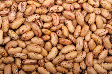 background of Pinto beans