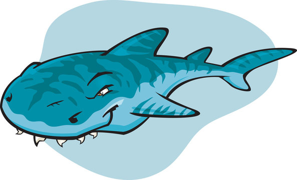 Cartoon Tiger shark