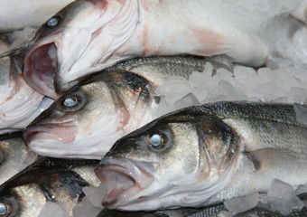 Some Fish with Ice on a Fishmongers Slab.