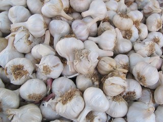 Garlic, ajos.