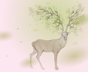 DEER with Antler like TREE in BLOOM / Spring background