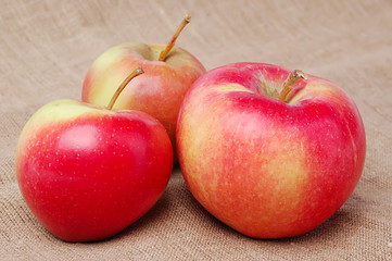 Apples  on sackcloth