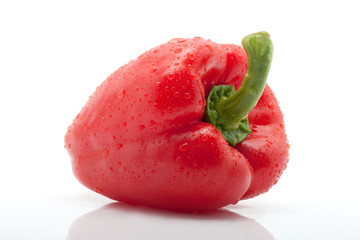 rote Paprika mit Tropfen freigestellt vor weissem Hintergrund