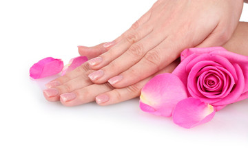 Rose and hands isolated on white