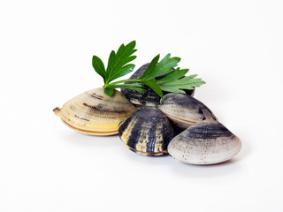 vongole