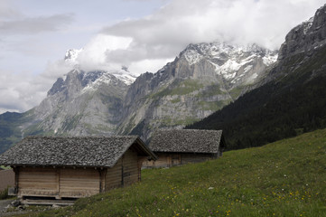 Fototapeta na wymiar Szwajcarskie domki w polu przed Wetterhorn góry