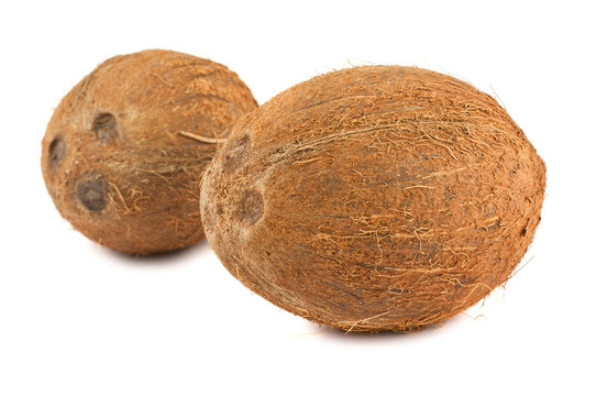 Two ripe coconuts