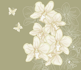 orchidee disegnate a mano libera su sfondo scuro - 38429510