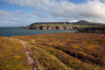 Views to South Stack Lighthouse