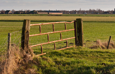 Rusty old fence between wooden beams