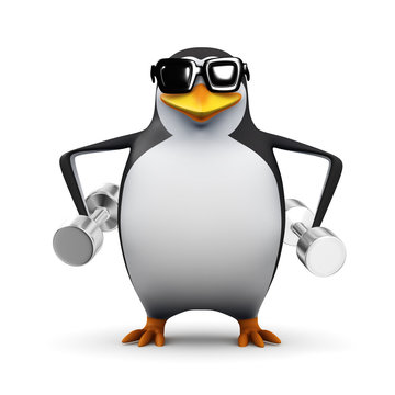 3d Penguin sweats it out at the gym