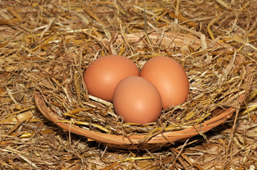 Eier im Korb