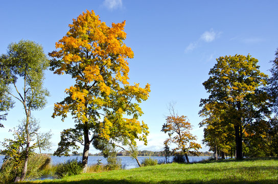 Colorful trees early autumn lake backdrop blue sky
