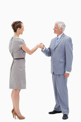 Fototapeta premium White hair businessman smiling face to face and shaking hands wi