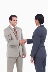 Business people shaking hands