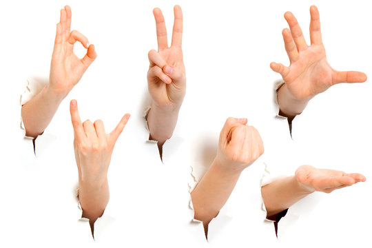 Hands
