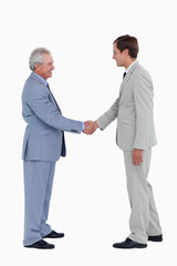 Side view of smiling tradesmen shaking hands