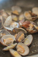 vongole