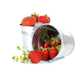 Buckets of strawberries