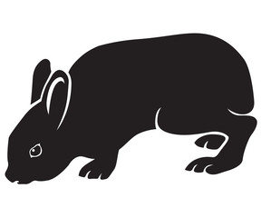 silhouette of hare