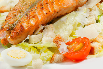 grilled salmon on white plate