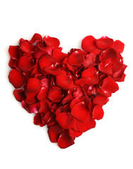 beautiful heart of red rose petals isolated on white