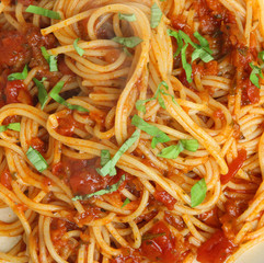 Spaghetti Pasta with Tomato Sauce