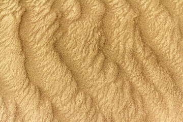 image of sand dunes