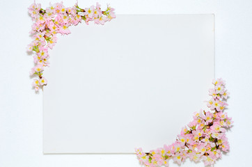 桜のキャンパス