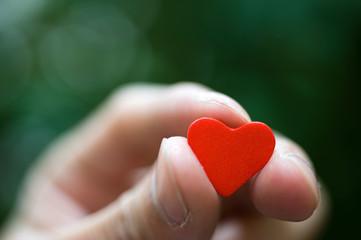 Fototapeta premium heart in the hands