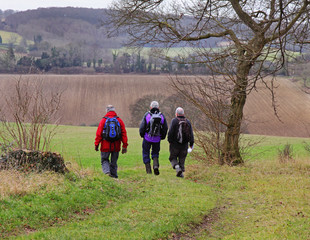 Three male Ramblers on an English Rural Trail