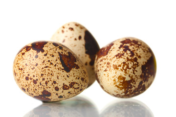 three quail eggs isilated on white