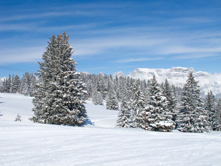 Winter in alps