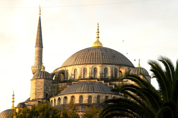 Fototapeta na wymiar Blue Mosque Dome and minaret