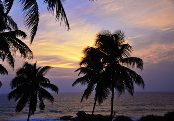 Fototapeta na wymiar Sylwetki palm o zachodzie słońca na Sri Lance