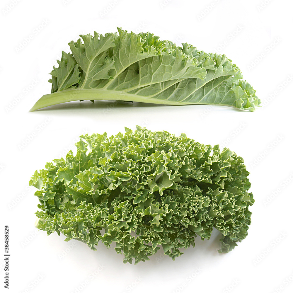 Wall mural curly kale leaves