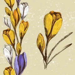 Papier Peint photo Fleurs abstraites fleur de crocus et bordure florale transparente