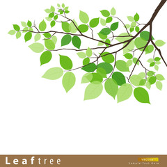 Leaf green tree vector illustration