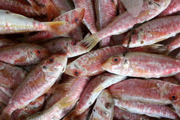 Fresh Red Mullet on ice at the fishmongers