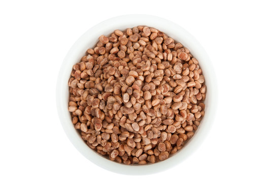 Collection of charoli