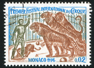 Trainer and Tigers