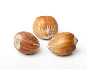 hazelnut