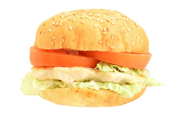 Hamburger on white background
