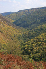Fototapeta premium Teign Valley, Devon