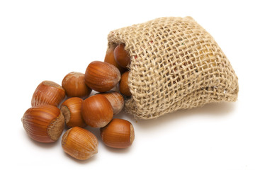 hazelnuts falling from a miniature burlap sack