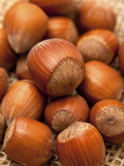 hazelnuts