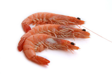 Crevettes